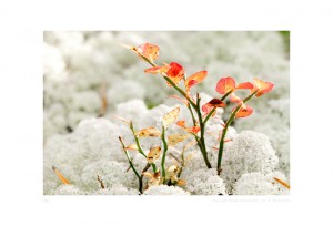 RG20111001-5811-bewerkt