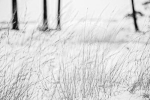 RG20130120-D800-5008-bewerkt