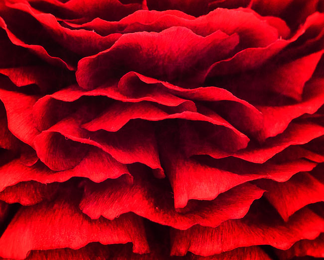 RG20130329-D800-6394_bewerkt