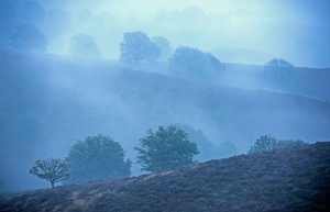 RG20130825-D800-0885