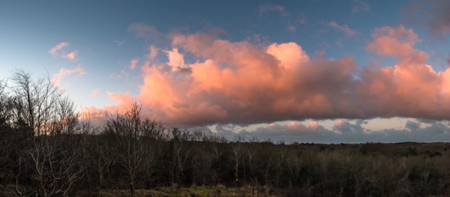 RG20160116-D800-3594-Pano