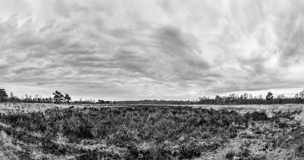 RG20160403-D800-5133-Pano-bewerkt-bewerkt