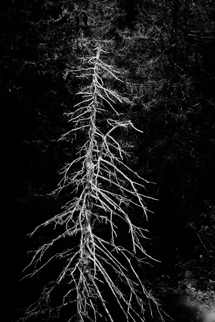 RG20160714-D800-7147-bewerkt